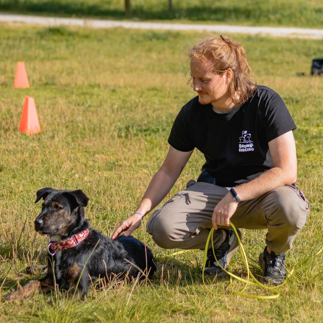 Treino de cães em Algés