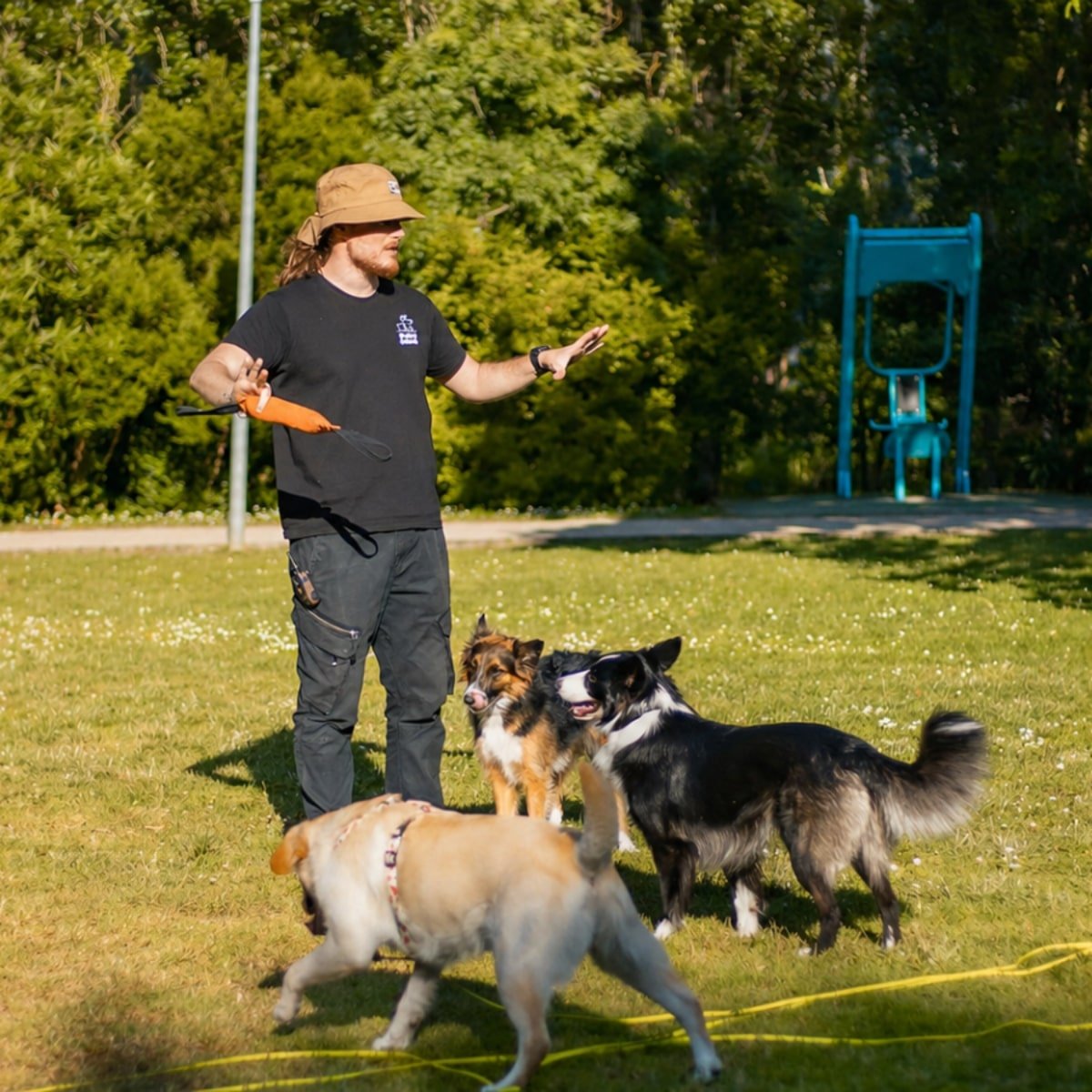 Bruno Ribeiro Treinador Canino