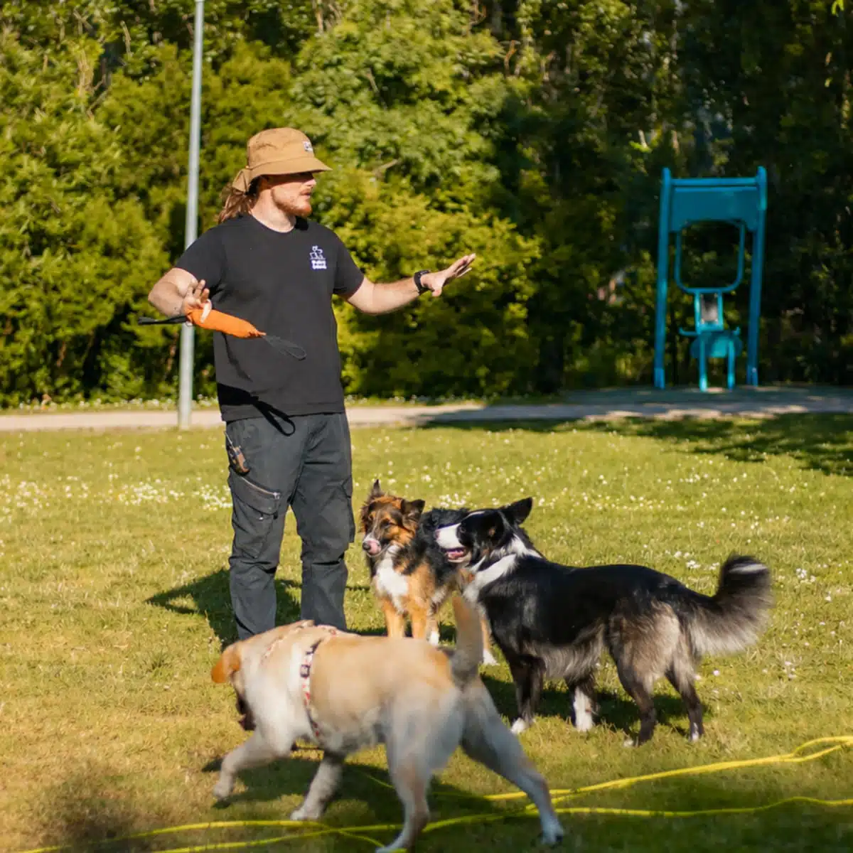 Bruno Ribeiro Treinador Canino
